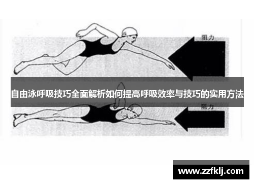 自由泳呼吸技巧全面解析如何提高呼吸效率与技巧的实用方法